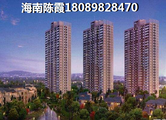 海南乐东九所租房子