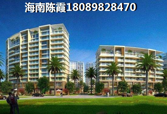 北方人在海南乐东九所哪里买房子不潮还便宜